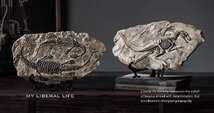 種類多数 3D 恐竜 化石 彫刻 インテリア 装飾 レトロ 骨 おしゃれ アンティーク 置物_画像5