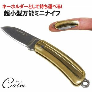 超小型ナイフ 指先サイズ 持ち運び 折りたたみ式 万能 小型 ミニナイフ キャンプ コンパクトアウトドア レジャー 【大タイプ】