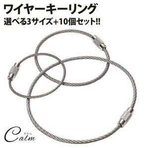 ワイヤー キーリング 10個セット キーチェーン キーホルダー ステンレス ロックワイヤー アクセサリー ネジ式 【20cm/2mm】の画像1