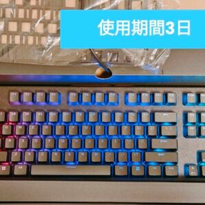 【使用期間3日】Realforce GX1 US 45g 別売りキースペーサー付き