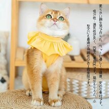 猫 術後服 猫用 ペット術後ウェア 小型犬 中型犬 不妊手術 傷口保護 腹部保護 避妊 傷舐め 引っ掻き防止2枚セット☆XS~2XL選択/1点_画像3