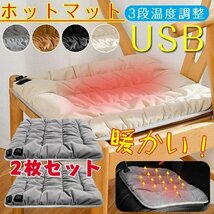 2枚セット ホットマット電気座布団usb充電式ホットカーペット3段温度調整 電気ホットマット電熱マット ペットヒーター☆4色/多形状選択/1点_画像1