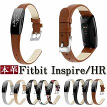 fitbit inspire 対応 バンド fitbit inspire hr バンド fitbit inspireバンド ベルト fitbit inspire hr 交換バンド【グレー/サイズL】_画像2