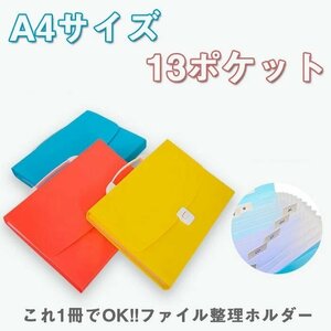 書類 フォルダ ドキュメント ファイル A4サイズ 整理 フォルダー 13 ポケット 書類 ポケット 事務 収納 デスク周り/A4 ☆多色選択/1点