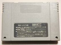 【送料無料】「レディストーカー ～過去からの挑戦～ LADY STALKER」スーパーファミコン SFC_画像2