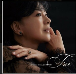 薬師丸ひろ子　CDアルバム「Tree」通常版　中古