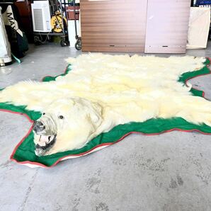 希少品 白熊 北極熊 ホッキョクグマ 剥製 敷物 毛皮 カーペット センターラグ 絨毯 全長230cm 幅190cm 美術品 ラグマット 爪すべて有りの画像3