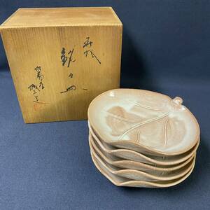  Hagi ... plate pine .. castle mountain structure tree. leaf type small plate tree box beautiful goods 