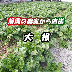 Regional Limited*Бесплатная доставка*фермеры непосредственно доставлены*префектура шизуоки*редиша*около 10 кг*свежие овощи*В переводе*Прямое производство