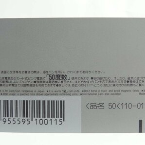 レアテレカ!! 未使用 テレカ 50度数×2枚 新世紀エヴァンゲリオン アスカ・ラングレー×綾波レイ Neon Genesis EVANGELION ☆Pの画像7