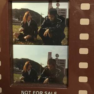 ◆映画 君に届け 初回限定版 フィルムストラップ 同梱特典 青山ハル 真田龍 蓮佛美沙子 吉田千鶴　【24/0315/0