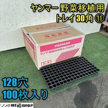 【セット販売可】福井▲ヤンマー 野菜移植用トレイ⑪ 30角 100枚入 128穴 深さ45mm はくさい キャベツ ブロッコリー セル成型苗 樹脂 中古_画像1