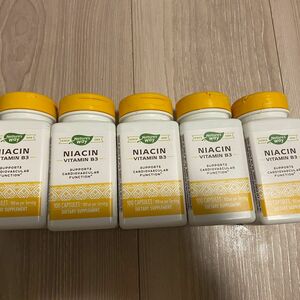 ナイアシン 100mg サプリメント 5個セット