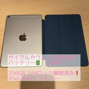 極美品！SIMフリー Apple iPad mini 5 第5世代 シルバー キャリア版SIMロック解除済