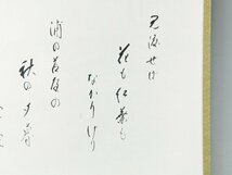 矢野一甫 見渡せば云々 書作品 紙本 軸装 掛軸 共箱 二重紙箱 臨済宗大徳寺派蔵雲寺 茶掛 茶道具 OK5024_画像3