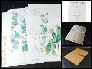 Art hand Auction 中島千波 花の写生 画集 複製画 12葉 保存箱 輸送紙箱 求龍堂 昭和59年発行 OK5079, 絵画, 画集, 作品集, 画集