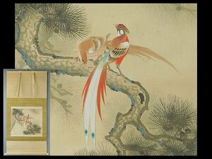 Art hand Auction भाग पाँच घंटियाँ, पुराने देवदार के पेड़ का पक्षी, फूल और पक्षी चित्रण, जापानी पेंटिंग, रेशम की किताब, लटका हुआ स्क्रॉल, बॉक्स शामिल है, मास्टर: गौन निशिमुरा, केकी इमाई OK5094, चित्रकारी, जापानी पेंटिंग, फूल और पक्षी, पक्षी और जानवर