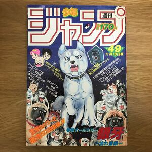 【送料無料】週刊少年ジャンプ 1984年 第49号 昭和59年11月19日発行 集英社 / 銀牙 こち亀 北斗の拳 キン肉マン キャプテン翼 他 j858