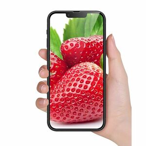 iPhone 13 mini 5.4インチ 9H 0.26mm 強化ガラス 液晶保護フィルム 2.5D L079