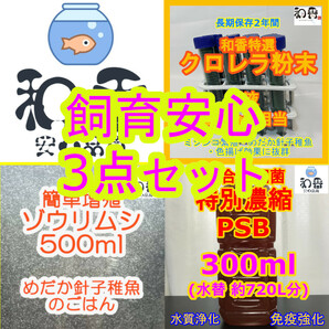 人気お得★飼育安心3点 ゾウリムシ500ml&粉末生クロレラ&PSB300mlセット 針子稚魚のエサ めだか金魚グッピーエサミジンコバクテリア生餌の画像1