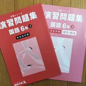 書込みなし！四谷大塚 予習シリーズ演習問題集 国語 6年下 中学受験