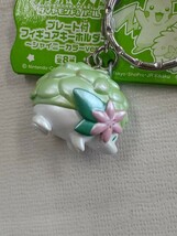 ポケットモンスター Pokemon ポケモン チコリータドール プレート付フィギュアキーホルダー シャイニーカラー シェイミー 中古 長期保管_画像4