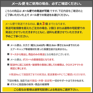 純正ステレオコネクター（逆カプラー）トヨタ/ダイハツ用 10P・6P G1Tの画像3