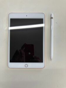 iPad mini 第5世代SIMフリー Cellular