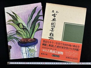 ｗ▼6　原色　古典園芸植物　著・鈴木助三・鈴木愛國　1971年初版　集英社　古書 /f-K08