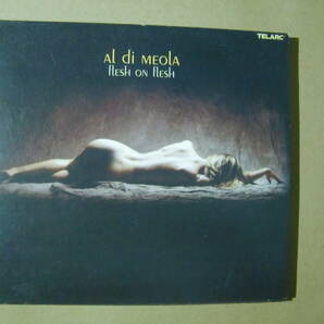 Al Di Meola アル・ディ・メオラ / Flesh On Flesh (CD-83543)の画像1