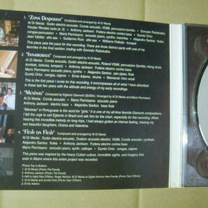 Al Di Meola アル・ディ・メオラ / Flesh On Flesh (CD-83543)の画像2