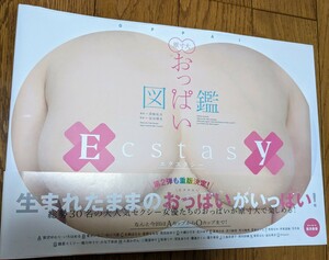 原寸大　おっぱい図鑑EX