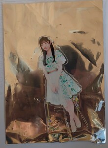 秋山由奈 AKB48 アクリルスタンド 柏木由紀卒業コン AKB春コスペシャルくじ ヤフオク専用 転載禁止