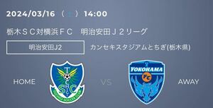 栃木 vs 横浜FC バック自由席1枚