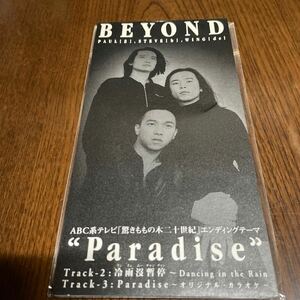 BEYOND Paradise ビヨンド 8cmシングル 見本盤 非売品 NOT FOR SALE 1994年 ファンハウス FHDF-1417