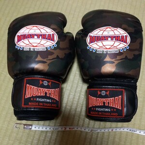 格闘技　muaythai グローブ　ゆうパック80 10oz 10オンス　？　ムエタイ　ボクシングではないかも