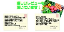 愛媛 百姓にお任せ 朝採れ 旬野菜 8-10品 石鎚山系農地の減農薬野菜 送料無料 宇和海の幸問屋_画像5