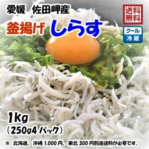 釜揚げしらす 1kg （250g×4p） 愛媛 佐田岬産 冷蔵便 浜から直送 無添加/無着色 送料込み 北海道/沖縄/東北は別途送料 宇和海の幸問屋