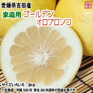 ゴールデンオロブロンコ 家庭用 8kg サイズフリー 愛媛 宇和島 吉田産 送料無料 北海道・沖縄・東北は別途送料 宇和海の幸問屋