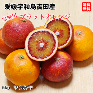 blato orange home use 5kg size don't fit Ehime . peace island Yoshida production agriculture ground from direct delivery free shipping Hokkaido / Okinawa / Tohoku is postage separately . peace sea. . wholesale store 