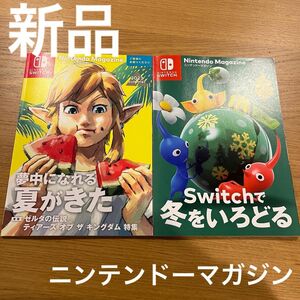 switch パンフレット　2点セット（2023夏、2023冬）　Nintendo Switchソフト掲載　ゼルダやピクミン4