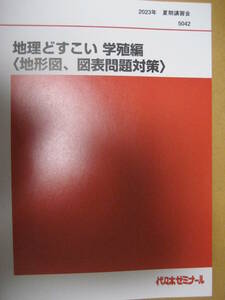 代々木ゼミナール2023年夏期講習会5042 地理どすこい学殖編テキスト 武井明信YOZEMI【書込無令和共通テスト大学】