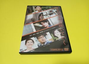 それでも花は咲いていく('11ケイダッシュステージ/リンクライツ/GPミュージ…　セル版　DVD