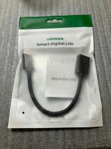 UGREEN mini hdmi to hdmi 変換アダプター hdmi ケーブル オスメス 延長 22cm