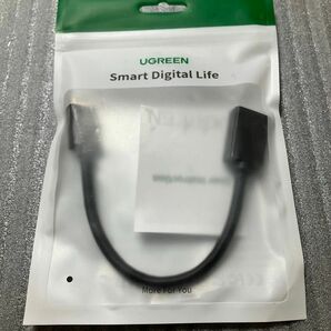 UGREEN mini hdmi to hdmi 変換アダプター hdmi ケーブル オスメス 延長 22cm