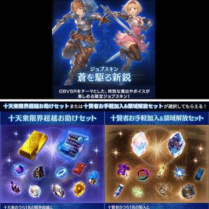 グラブルスペシャルアイテムセット・GBVSRパック ジョブスキン「蒼を駆る新鋭」 グランブルーファンタジー VS ライジング シリアルコードの画像1