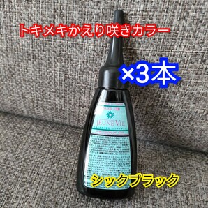 トキメキかえり咲きカラー　ブラック　40ml×3本　白髪染め　カラー剤　カラーリング　トリートメント　ヘアケア　毛髪着色料　黒