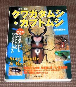  postage profit! color illustrated reference book stag beetle * rhinoceros beetle Perfect guide 1 jpy ~