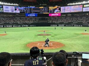 PayPayドーム 開幕戦 第1戦 ホークス 対 千葉ロッテ戦 4月2日 18時30分～ バックネット裏　中央　前