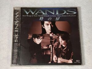 WANDS 時の扉 CD アルバム